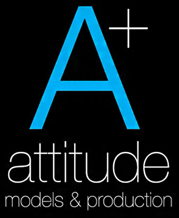 Attitude